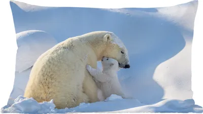 Produktbild von MuchoWow® Zierkissen Sofakissen Wohnzimmer Dekokissen 50x30 cm Eisbär - Tiere - Schnee - Wohnzimmerdekoration - Polster mit Photo