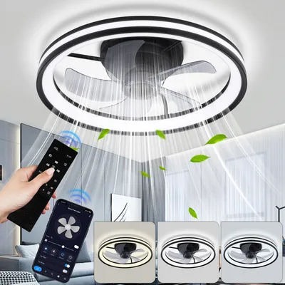 Obrázek produktu pro Jayseuw stropní ventilátor s osvětlením a dálkovým ovládáním Stropní lampa stmívatelná černá
