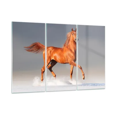 Produktbild von Bilder auf glas - Tiere Pferd Galopp Geschwindigkeit - 105x70cm - Glasbilder - Wandbilder - Kunstdruck - Wanddekoration aus Glas - Glas Bilder - Wandbild auf Glas - GCE105x70-2590