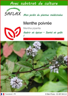 Image de SAFLAX - Menthe poivrée - 300 graines - Avec substrat - Mentha