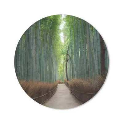 Produktbild von MuchoWow® Mauspad Mousepad Bambus - Weg - Wald 30x30 cm - Mousepads - Maus Mat - Pad - Mausunterlage - Tischunterlage - Schreibtischmatten