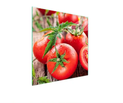 Obrázek produktu pro Ochranná Deska Pro Herd 50X52 Tomatas