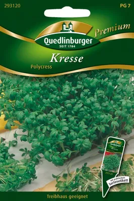 Produktbild von Quedlinburger Saatgut - Kresse Polycress - Samen - 293120