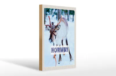Produktbild von Holzschild Reise 20x30cm Norwegen Hirsch Winterzeit Schnee