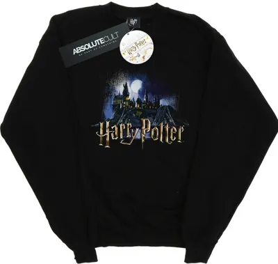 Image de Harry Potter - Sweat-shirt "Hogwarts" pour homme BI28222 (5XL) (Noir)