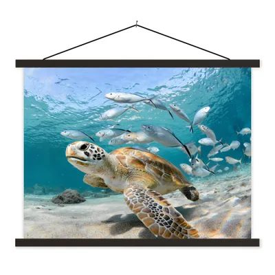 Produktbild von MuchoWow® Textilposter Schildkröte - Fisch - Meer 120x90 cm mit schwarzem Rahmen - Aufhänger für Poster