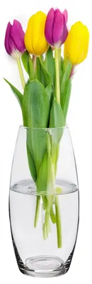 Produktbild von Alessandro Blumenvase klassisch - transparentes Glas - 12 x 26 cm - Zylindermodell - Blumenstrausvas