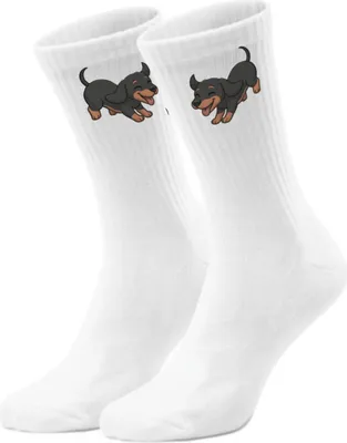 Produktbild von epicsocks Dackelfreude Schnuppernd Socken in 42-46 im Paar