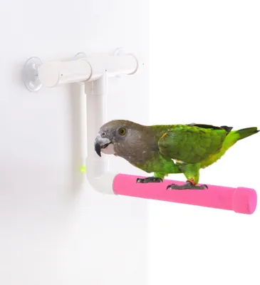 Image de Gigue de douche en M pour perroquets de taille moyenne