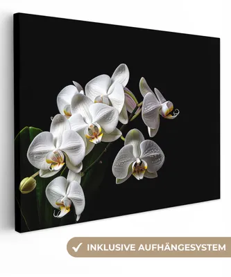 Produktbild von MuchoWow® - Leinwandbilder - Orchidee - Blumen - Weiß - Natur - Schwarz, Wandbild, Wanddeko Bilder Wohnzimmer, 120x90cm