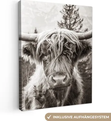 Obrázek produktu pro OneMillionCanvasses® - Plátno - Skotský horal - Kráva - Zvířata - Černá - Bílá, nástěnná malba, nástěnné dekorace obrázky do obývacího pokoje, 60x80cm