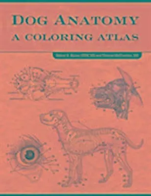 Produktbild von Dog Anatomy
