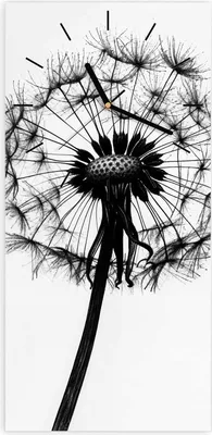 Produktbild von Wanduhr aus Glas mit Motiv Pusteblume- 30 x 60 cm - inkl. Aufhängesystem