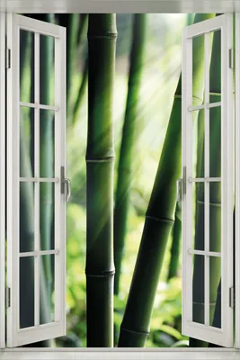 Produktbild von Wallario Poster mit Fenster-Illusion: Bambuswald und Sonnenstrahlen, Größe: 100 x 150 cm