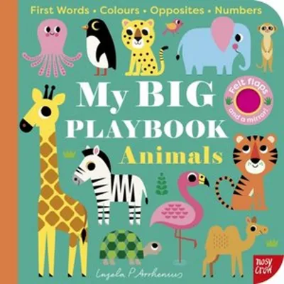 Obrázok produktu pre My BIG Playbook