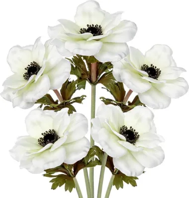 Immagine prodotto di Anemoni artificiali decorativi set di 5 fiori bianchi primaverili 53 cm
