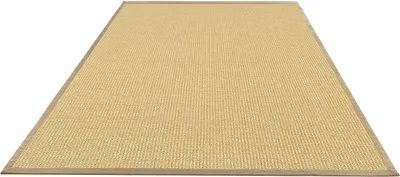 Image de Tapis en sisal Amazonas Naturel différentes bordures : Crème 40 x 60 cm