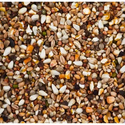 Productafbeelding van Deli Nature Premium tortelduiven 4KG