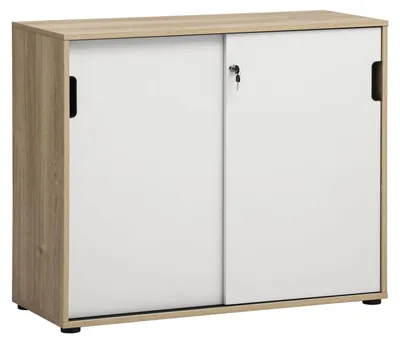 Aktenschrank mit 2 Schiebetüren, Weiß Eiche Dekor/Mat Weiß, 100x41x83,6 cm