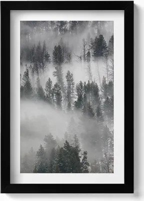 Produktbild von Neblige Waldlandschaft– Wandbild mit Rahmen – Gerahmtes Bild  – Wanddekoration – 20x30 cm – Schwarz