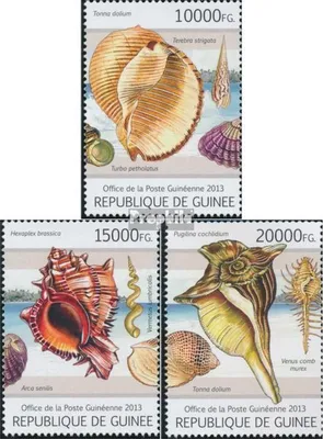 Produktbild von Briefmarken Guinea 2013 Mi 9721-9723 (kompl. Ausgabe) postfrisch Muscheln