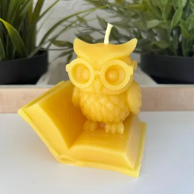 Produktbild von Bienenwachskerze Eulen Kerze 7 cm mit Brille – sitzt auf aufgeschlagenem Buch