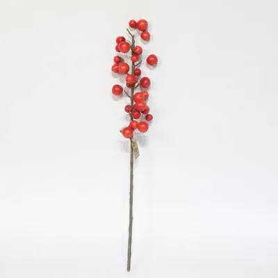 Produktbild von Kunsttak met appeltjes L66cm Rood