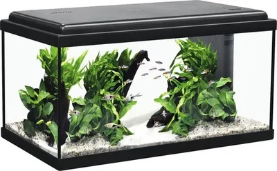Produktbild von Aquarium aquatlantis Advance 60 mit LED-Beleuchtung, Filter, Heizer ohne Unterschrank schwarz ca. 60 x 30 x 34 cm, ca. 54 L
