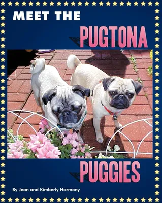 Produktbild von Meet the Pugtona Puggies