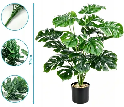 Produktbild von Künstliche Monstera - Kunstpflanze im Topf - 70 cm - 18 Blätter - Kunststoff - Für Innenräume - Pflegefrei