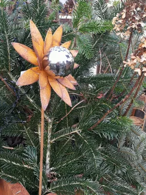 Immagine prodotto di Fiore in acciaio inox Valisa con sfera in acciaio inox, piccolo