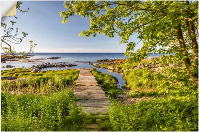 Produktbild von ARTland Wandbild, selbstklebend Der Weg zum Meer auf Bornholm Größe: 120x80 cm