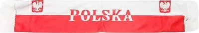 Produktbild von POLEN Fan Autoschal mit Saugnäpfen
