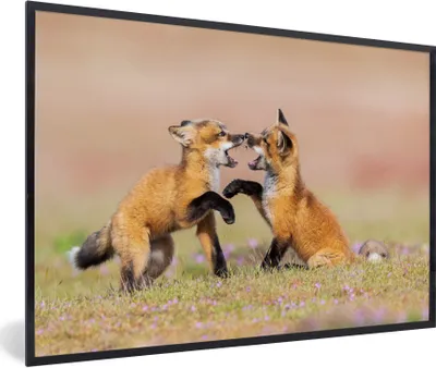 Produktbild von MuchoWow® MuchoWow® Gerahmtes Poster Füchse - Blumen - Porträt 90x60 cm - Poster mit zchwarzem Bilderrahmen - Fotorahmen - Foto-Plakat