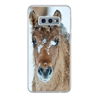 Produktbild von MuchoWow® Handyhülle Schutzhülle Hülle für Samsung Galaxy S10e Junges Fjordpferd mit Schnee bedeckt Silikon Softcase Handy Hülle - Handy