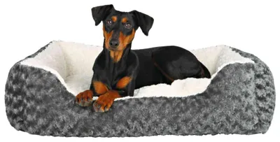 Produktbild von TRIXIE Bett Kaline - grau/creme - 65 × 50 cm