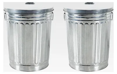 Produktbild von 2er Set Zink Abfalleimer mit Deckel 58 Liter Silber für den Außenbereich