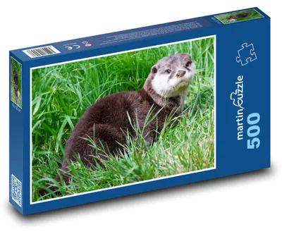 Obrázok produktu pre Puzzle 500 Vydra v zelenej tráve - martinpuzzle