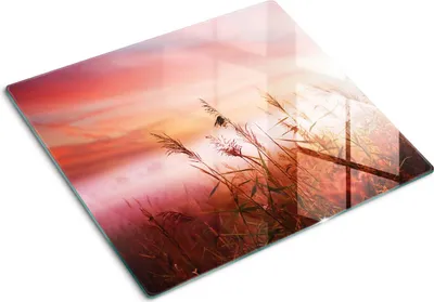 Produktbild von Glasplatte zum Schutz der Kochfläche – Abdeckung für die Kochplatte – Abdeckung für Induktionskochfelder – 60x52 cm – Einfache Reinigung – Gehärtetes Glas – Beschlagresistent
