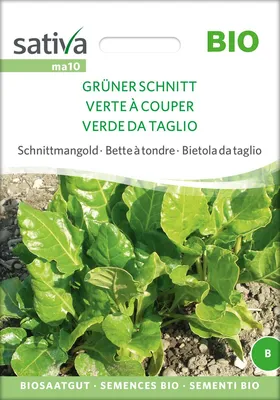 Artikelbild 1 von 'BIO Schnittmangold Grüner Schnitt' aus der Kategorie Mangoldsamen