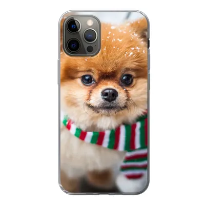 Produktbild von MuchoWow® Handyhülle Schutzhülle Hülle für iPhone 12 Pro Hund - Halstuch - Schnee Silikon Softcase Handy Hülle - Abdeckung
