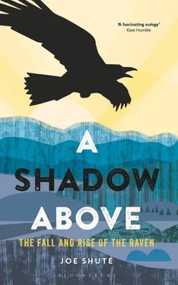Obrázok produktu pre A Shadow Above