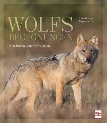 Immagine prodotto di Wolfsbegegnungen
