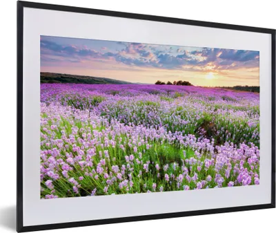 Produktbild von MuchoWow® Gerahmtes Poster Lavendel - Blumen - Sonnenuntergang - Lila - Wiese 60x40 cm - Poster mit Schwarzem Bilderrahmen Wandposter Rahmen Foto Bilder - Schlafzimmer - Plakat in Rahmen - Drucken