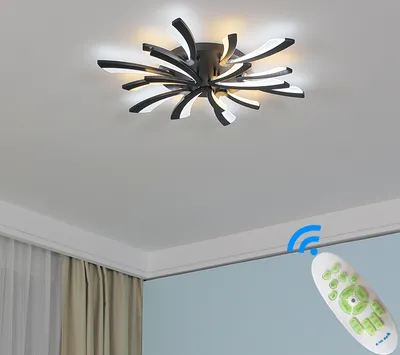 A modern ceiling light fixture with a remote control shown in the lower right corner.
