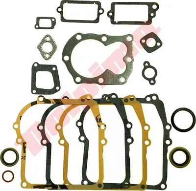 Image de Joints Pour Briggs & Stratton 16 ( 699933 )