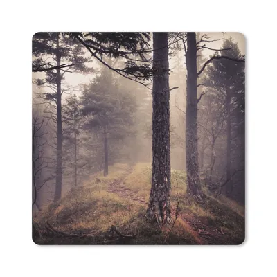 Produktbild von MuchoWow® Mauspad Mousepad Nebel - Herbstdekoration - Natur - Wald 20x20 cm - Mousepads - Maus Mat - Pad - Mausunterlage - Desk Mat - Bureauartikeln