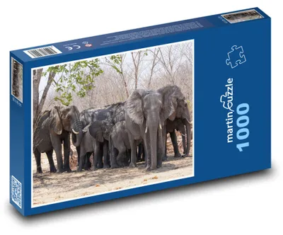 Zdjęcie produktu dla Puzzle 1000 Rodzina słoni w naturze - martinpuzzle