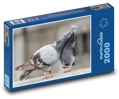 Obrázok produktu pre martinpuzzle - Puzzle 2000 - Holuby - vtáky