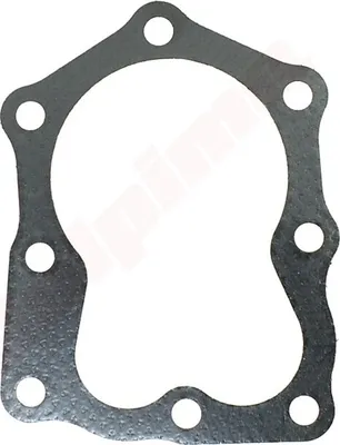 Image de Joint de tête Pour Briggs & Stratton ( 272200S )